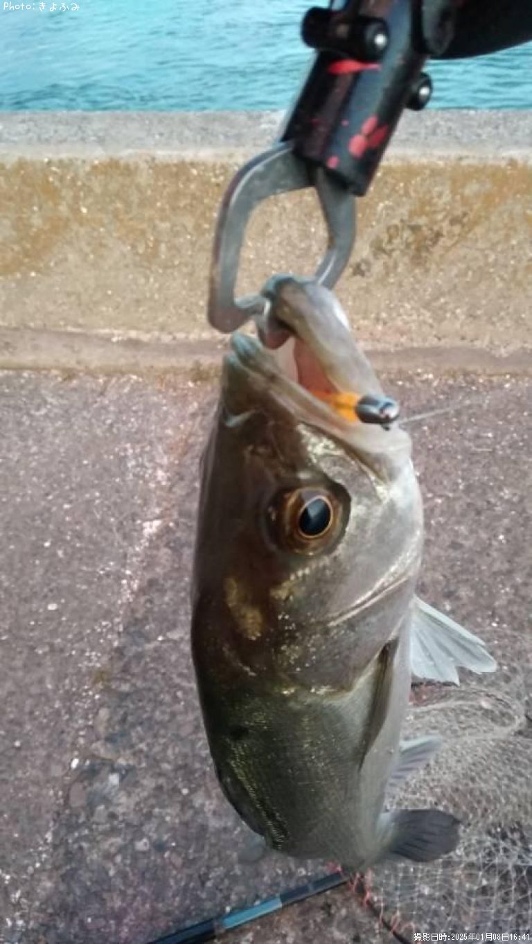 �����Х�