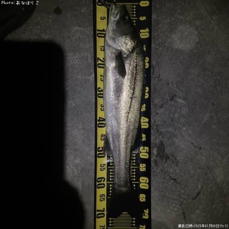 �����Х�