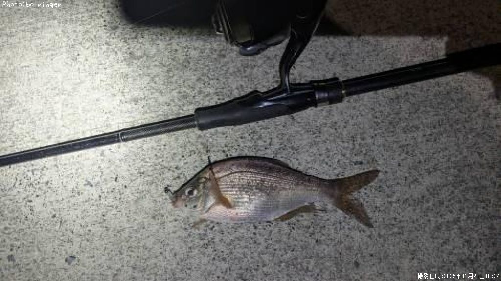 ���ߥ��ʥ�