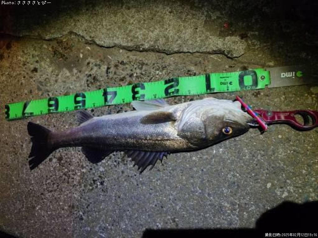 �����Х�