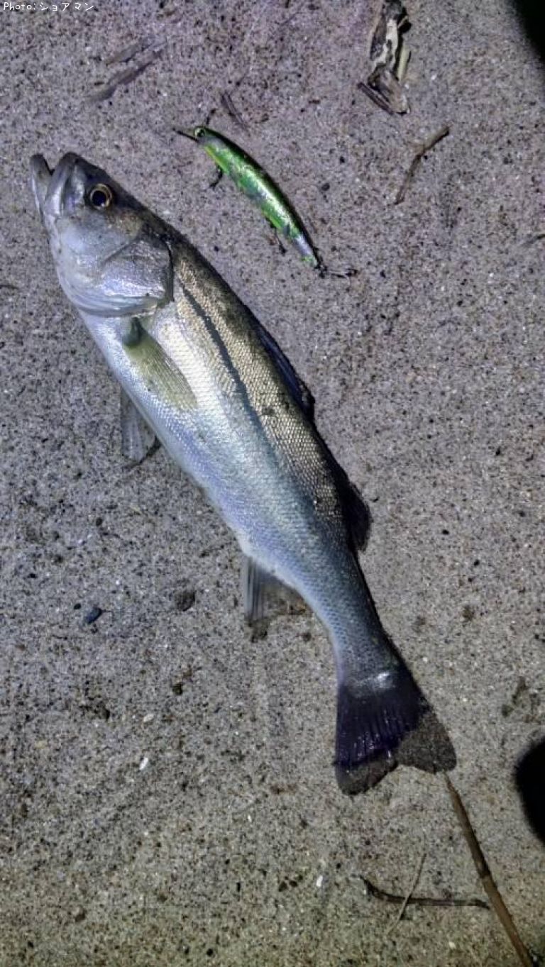 �����Х�