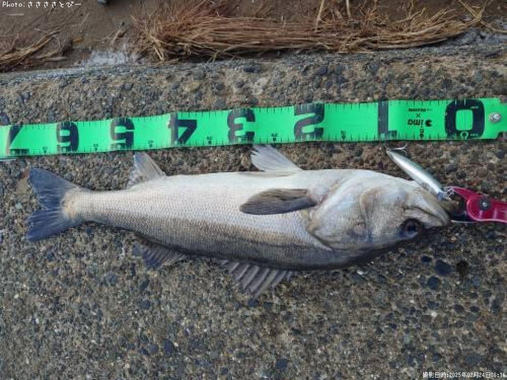 �����Х�