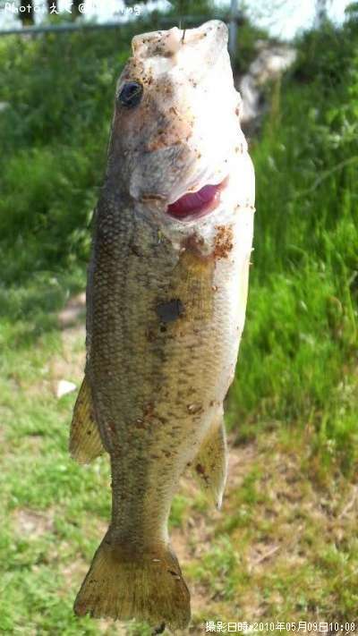 �֥�å��Х�