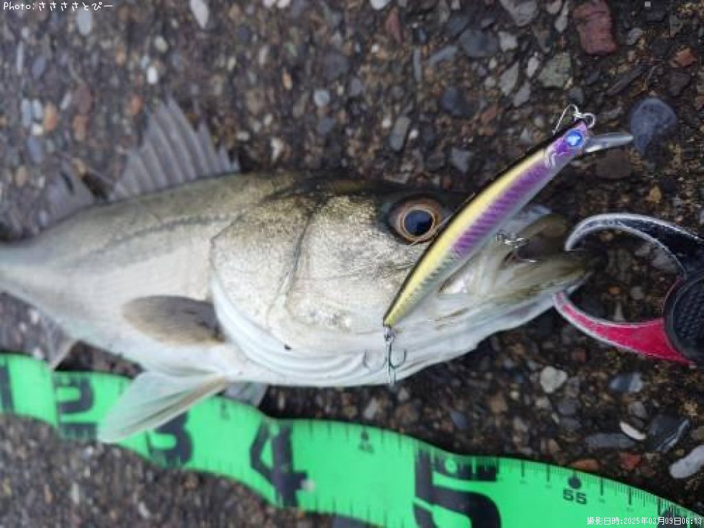 �����Х�