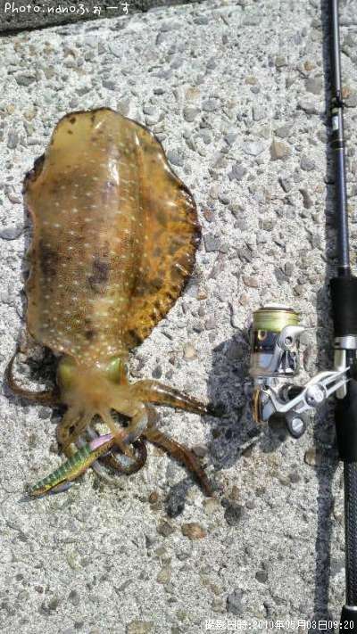 �����ꥤ��