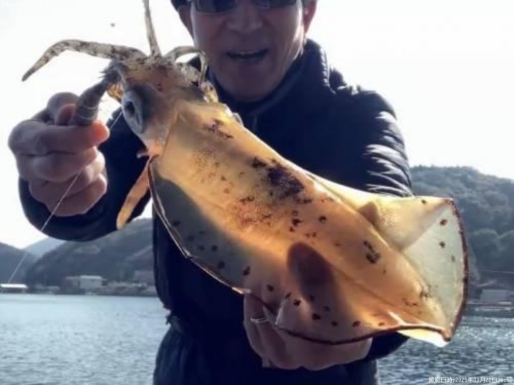 �����ꥤ��