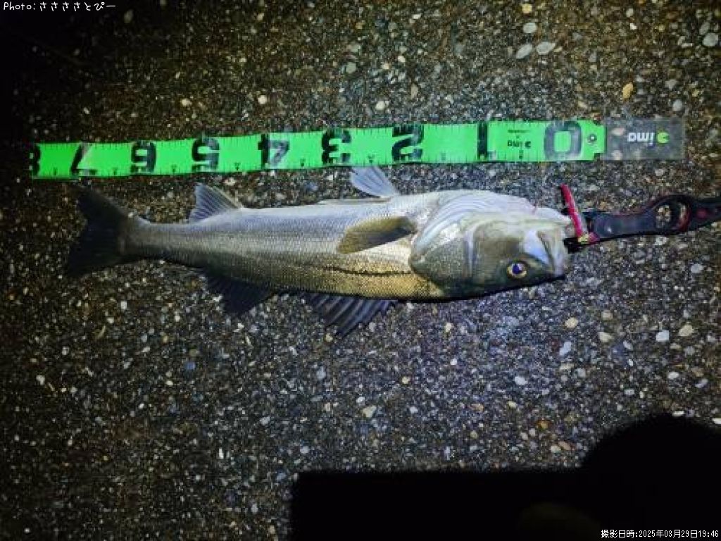 �����Х�