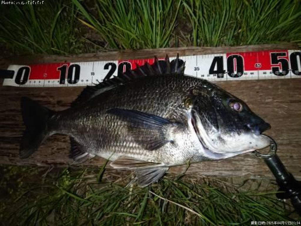 �����Х�����������