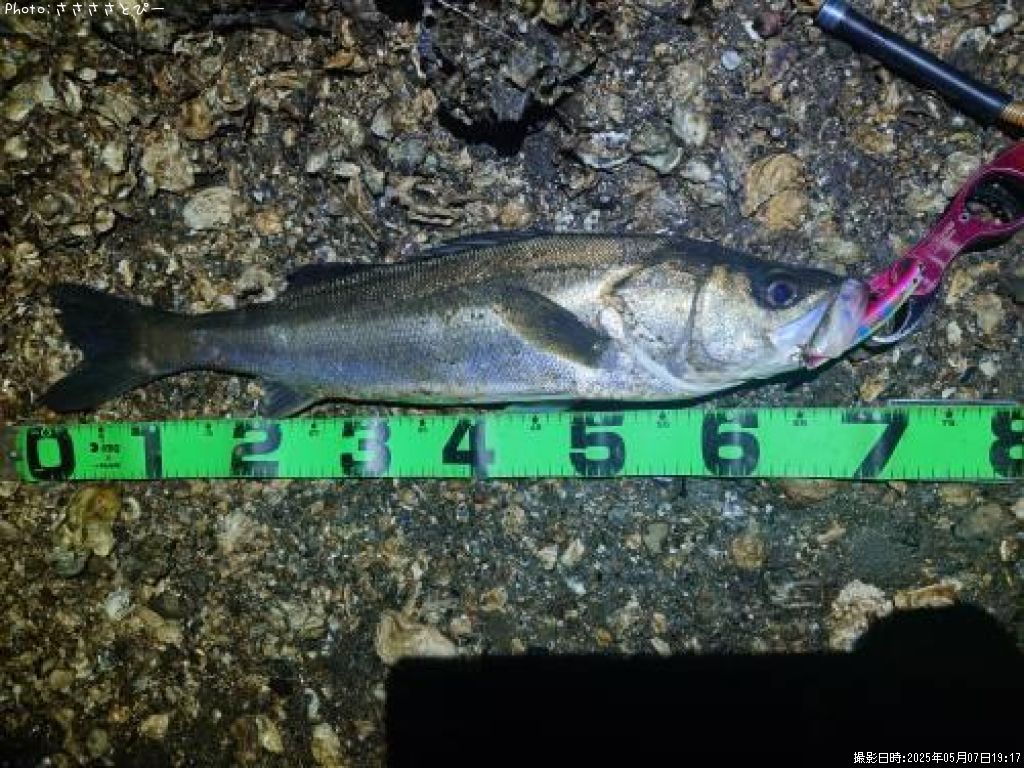 �����Х�