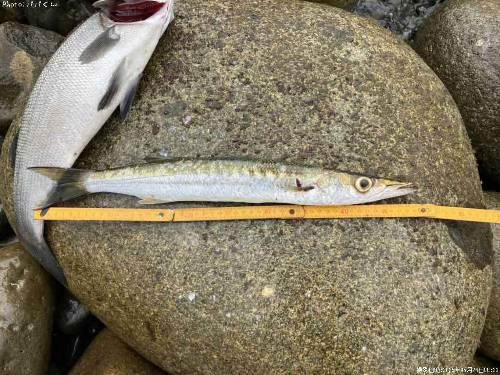 ������󥫥ޥ�