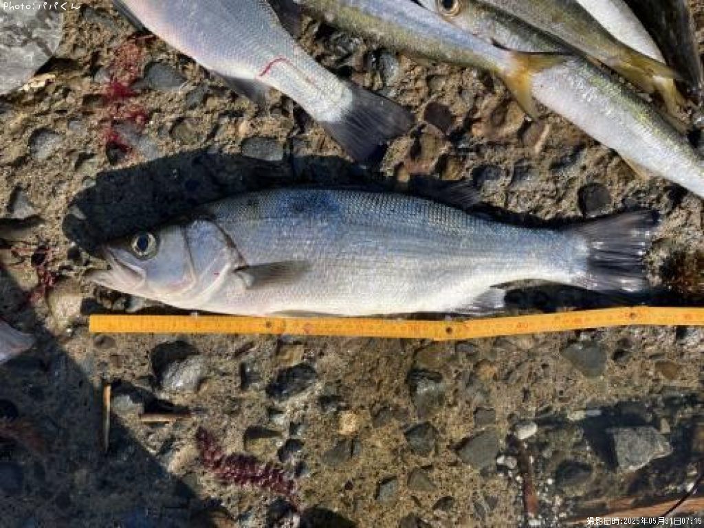 �ҥ饹����