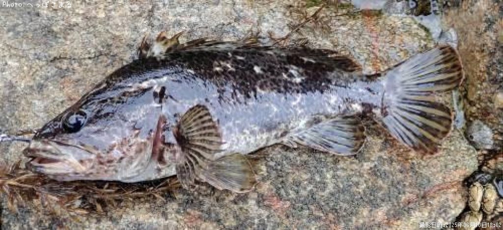 �����Υ���Х�