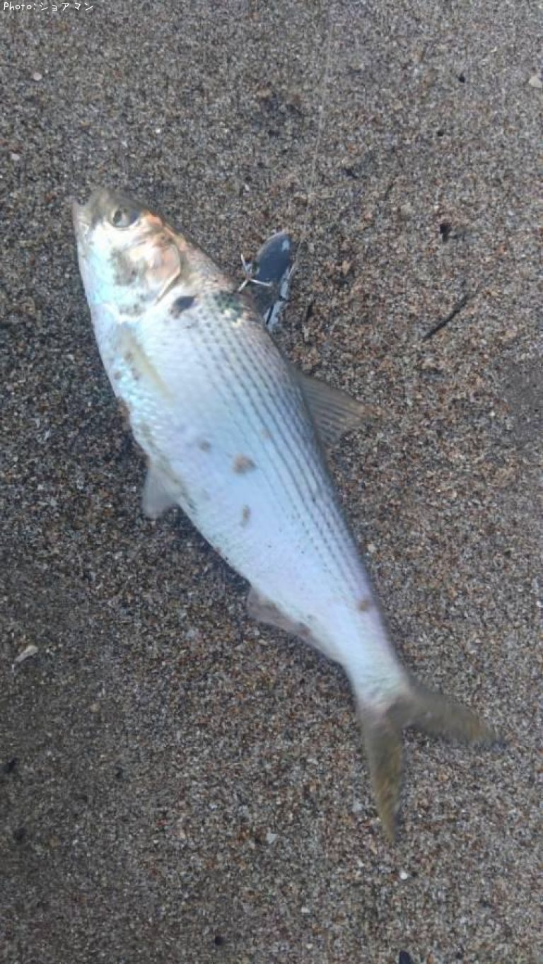 ���Υ���