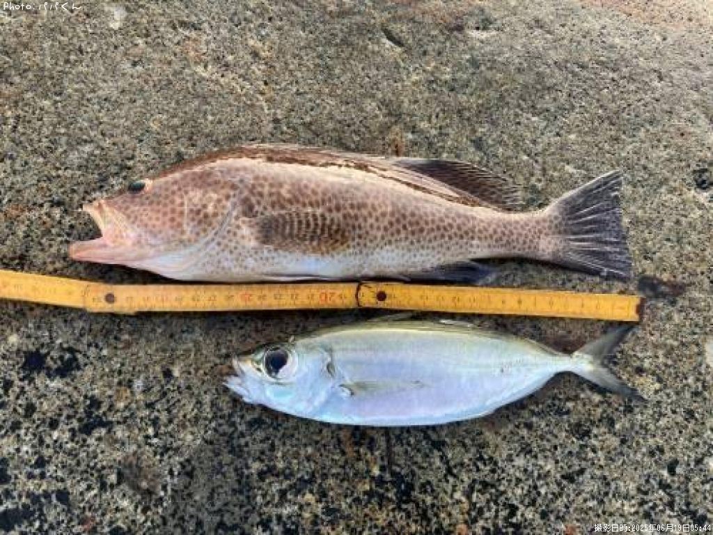 �������ϥ�