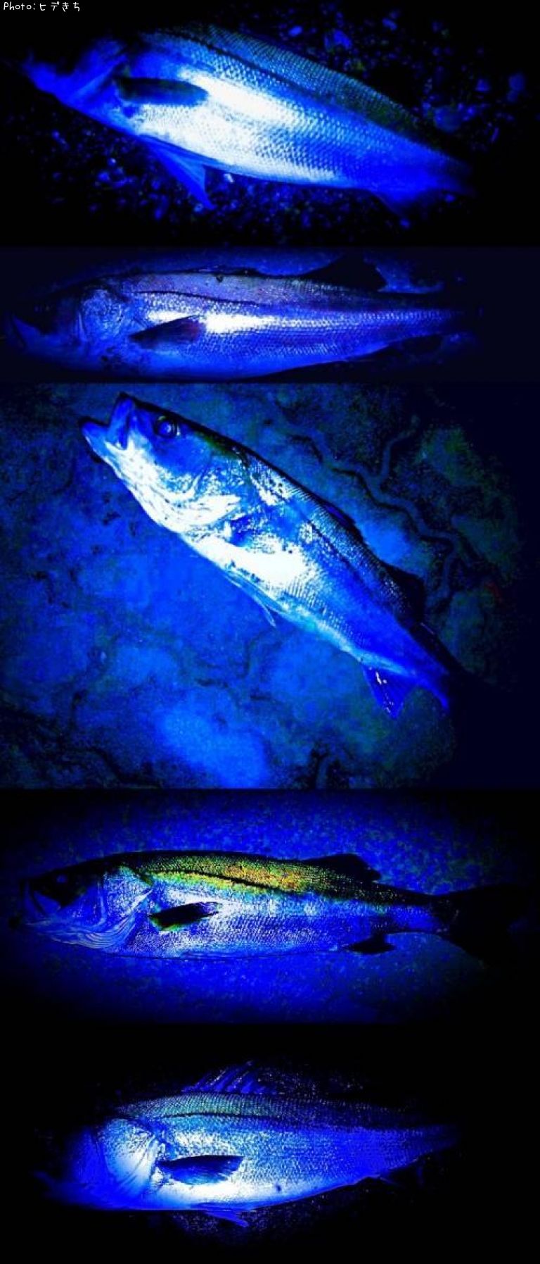 �����Х�