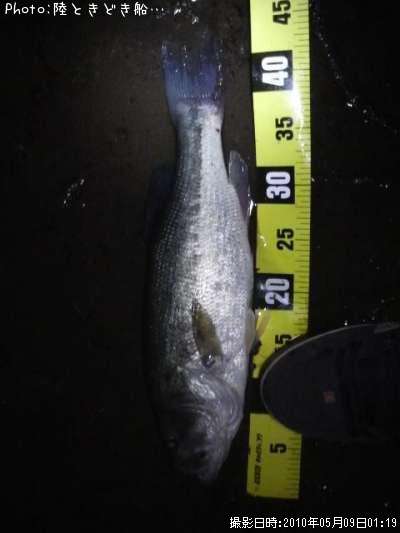 �֥�å��Х�