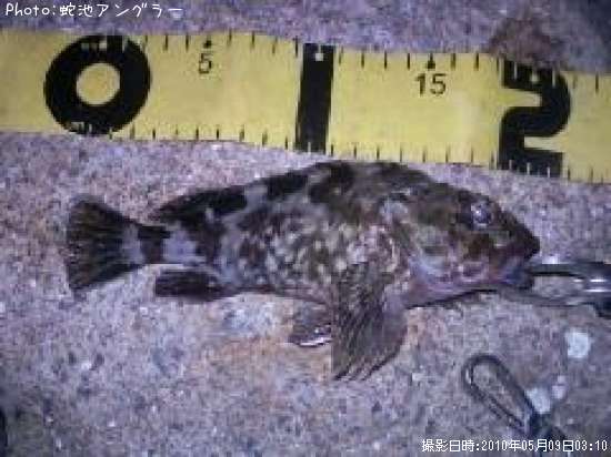 �����Υ���Х�