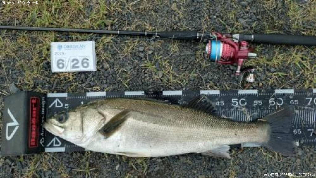 �����Х�