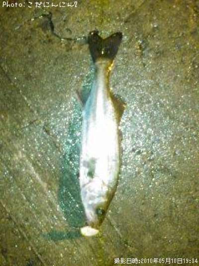 �����Х�