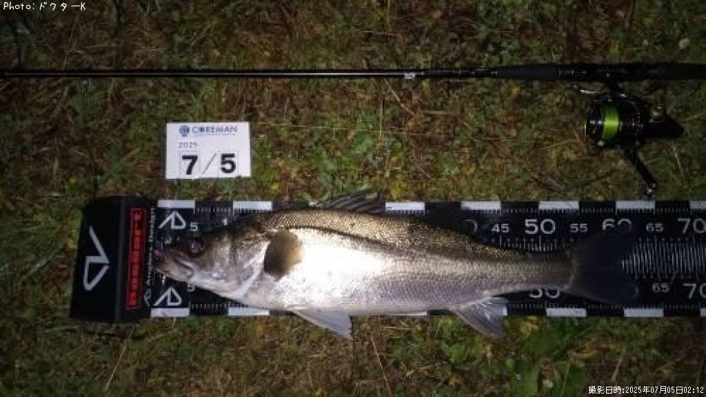 �����Х�