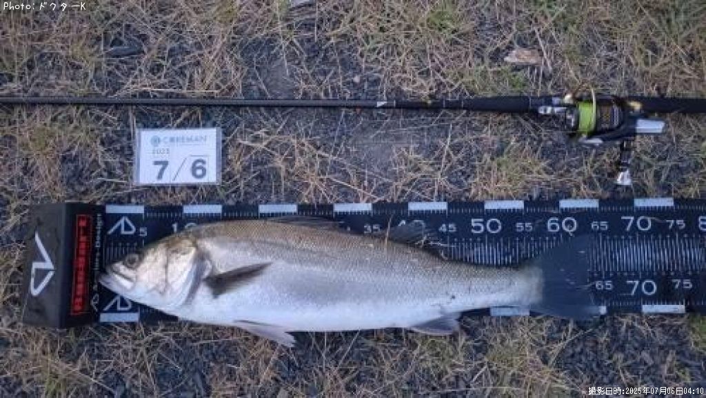 �����Х�