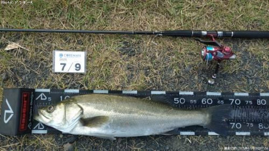 �����Х�