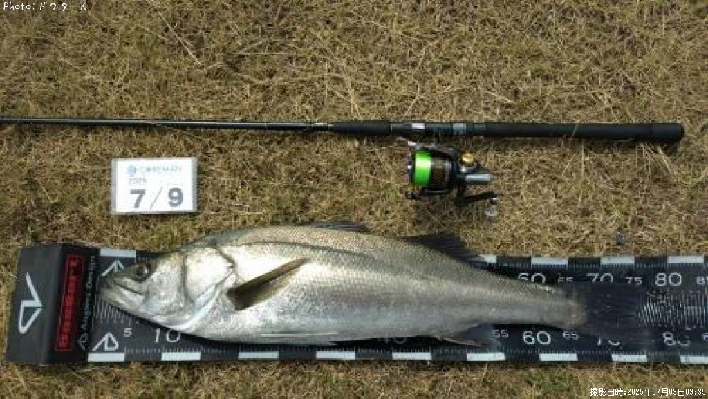 �����Х�