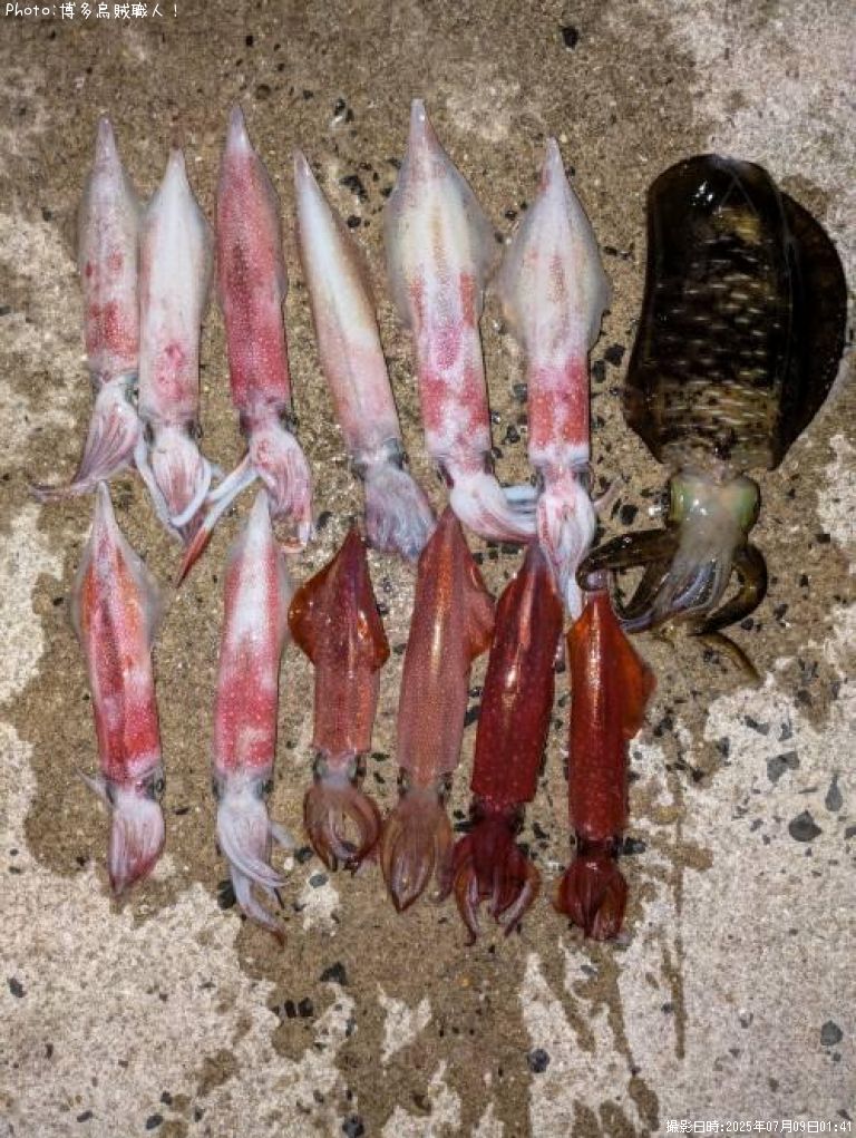 �����ꥤ��