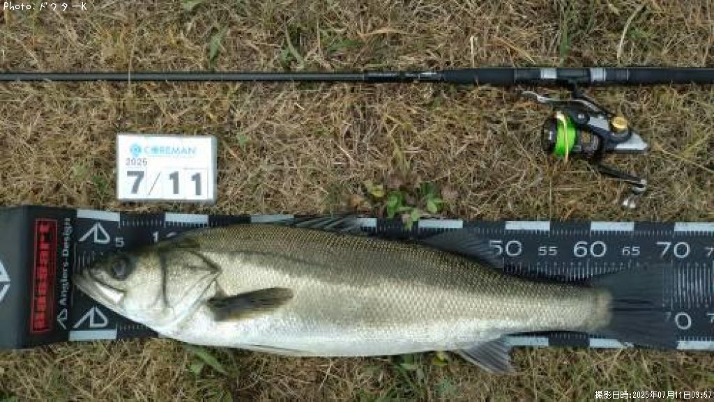 �����Х�