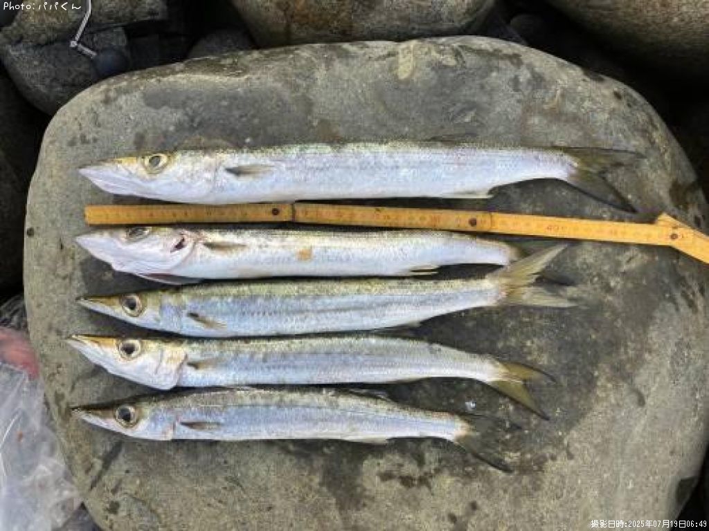 ������󥫥ޥ�