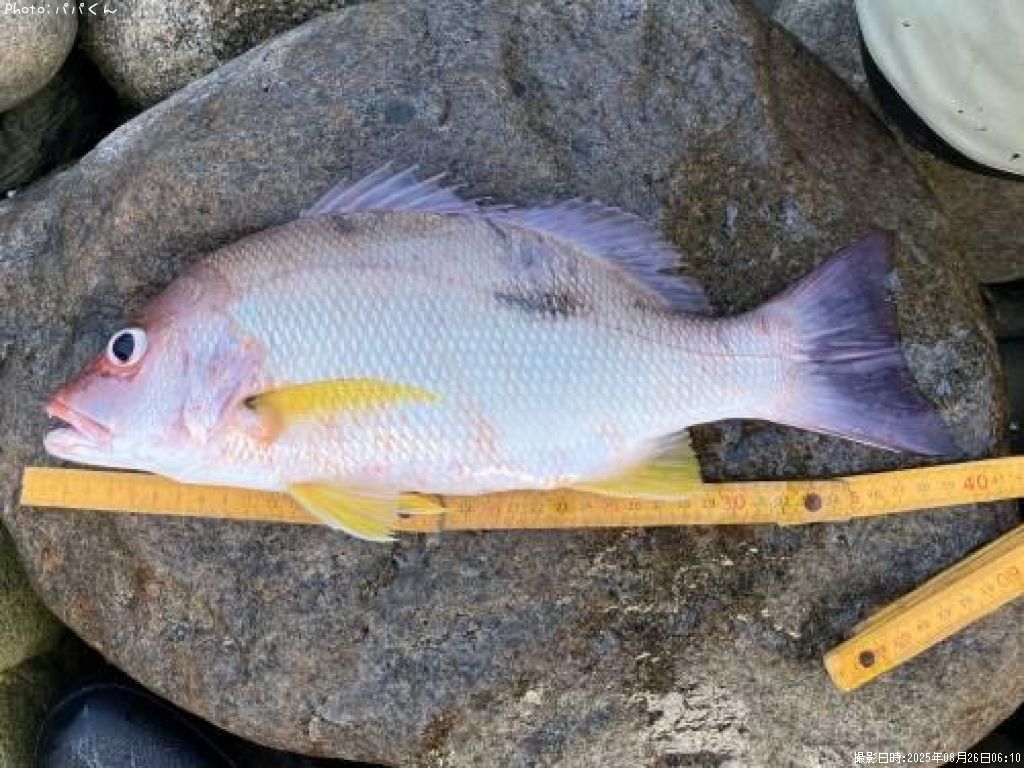 �����ۥ��ե�����