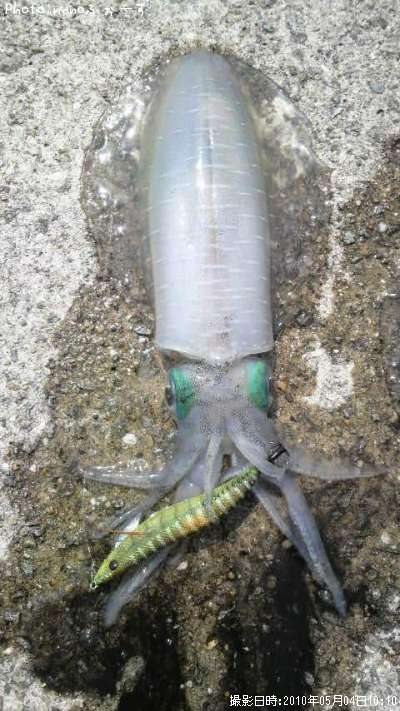 �����ꥤ��