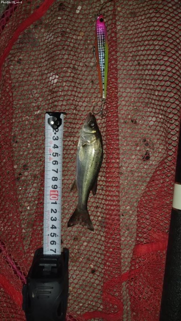 �����Х�