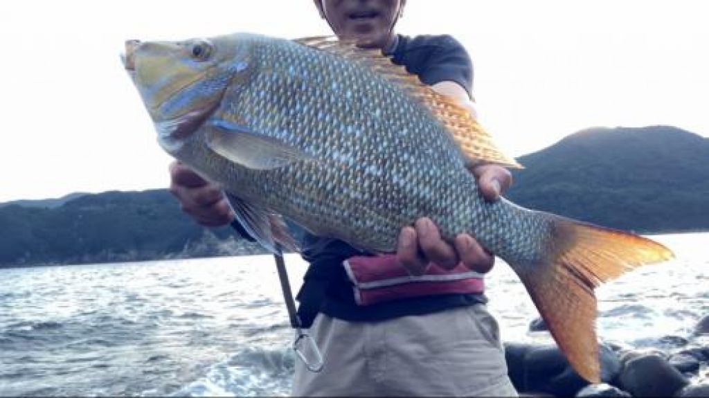 �ե��ե�����