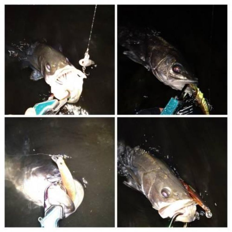 �����Х�