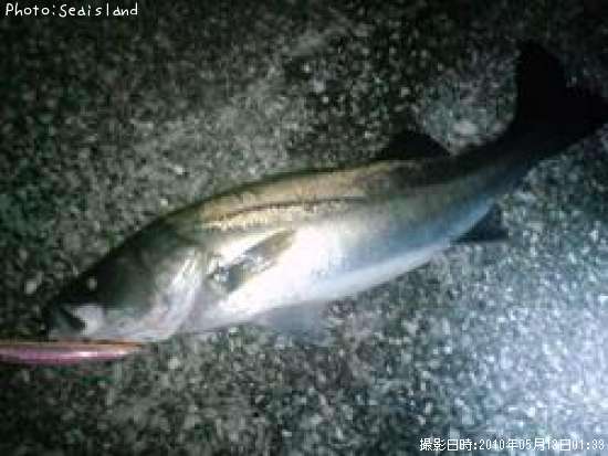 �����Х�