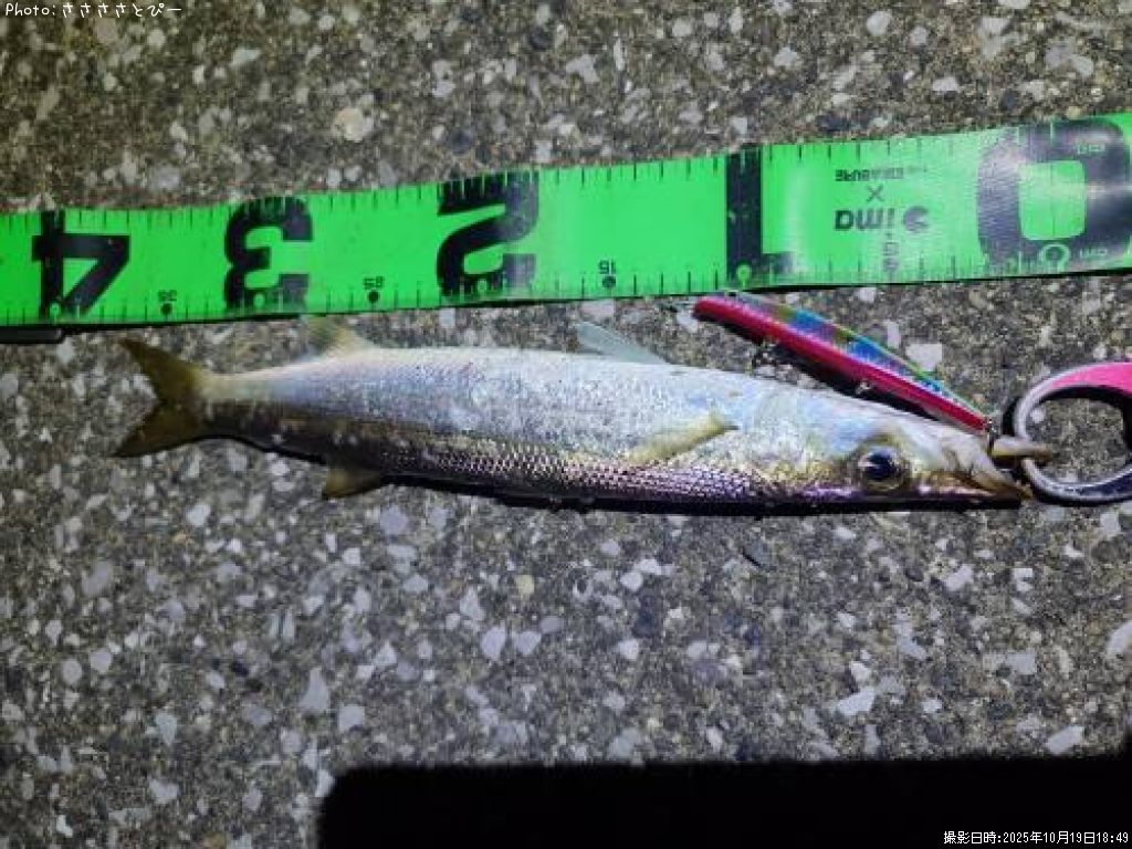 ���ޥ���