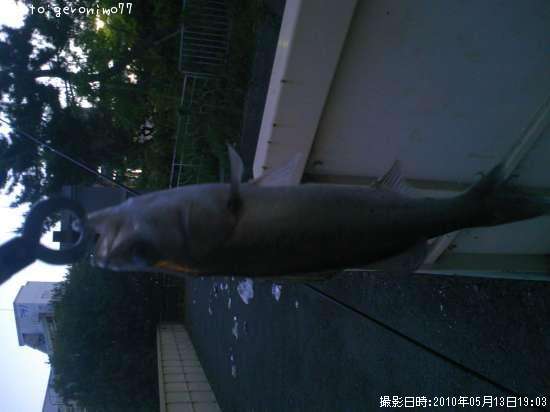 �����Х�