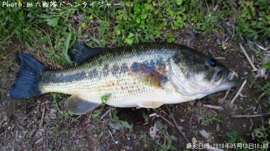 �֥�å��Х�