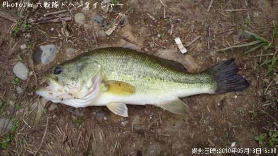 �֥�å��Х�