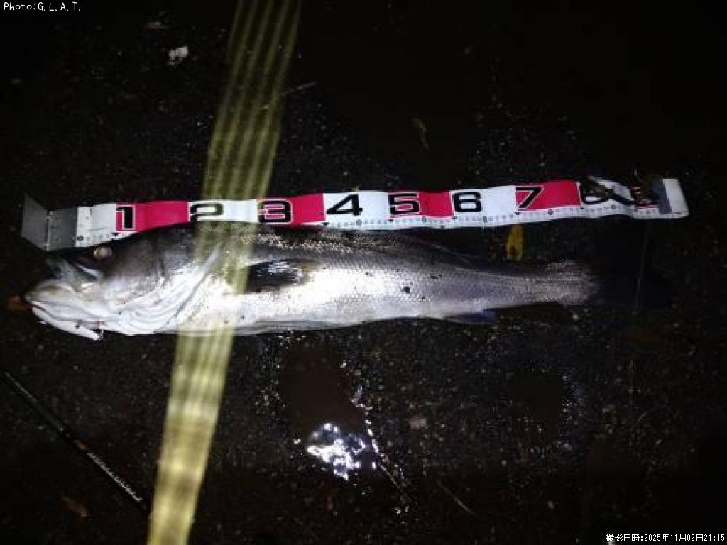 �����Х�