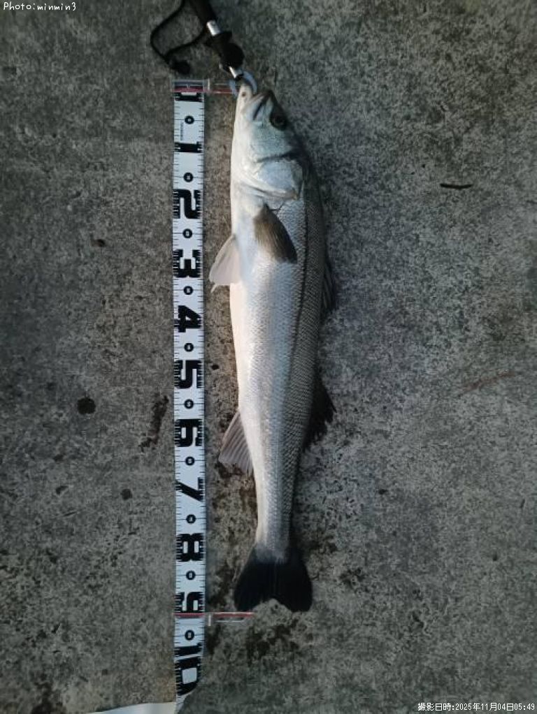 �����Х�