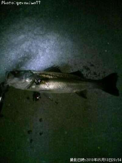 �����Х�