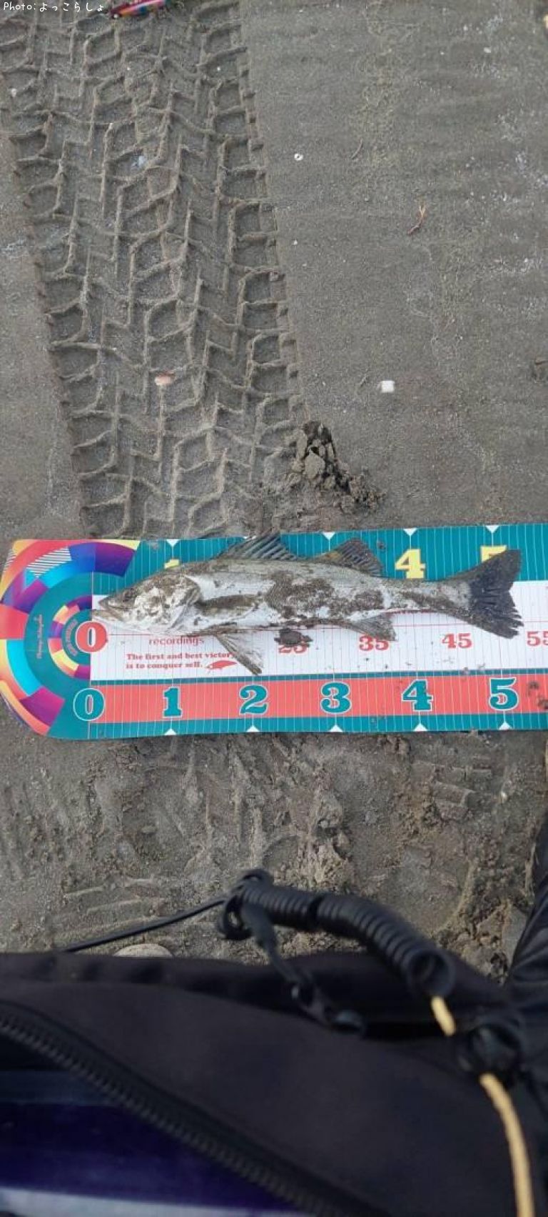 �����Х�