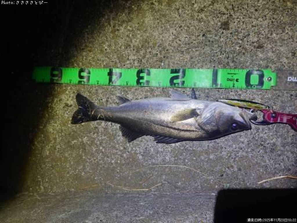 �����Х�