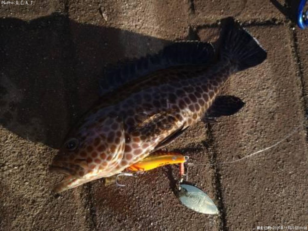 �������ϥ�