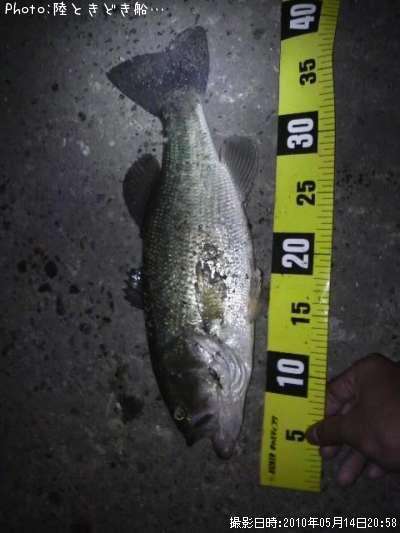 �֥�å��Х�