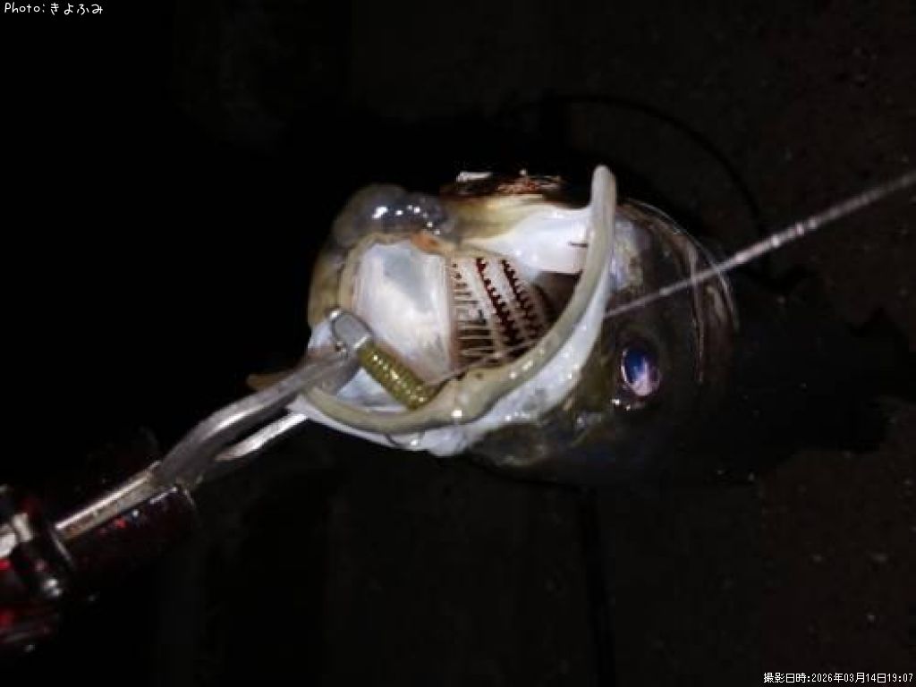 �����Х�