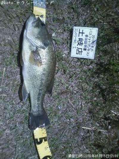 �֥�å��Х�