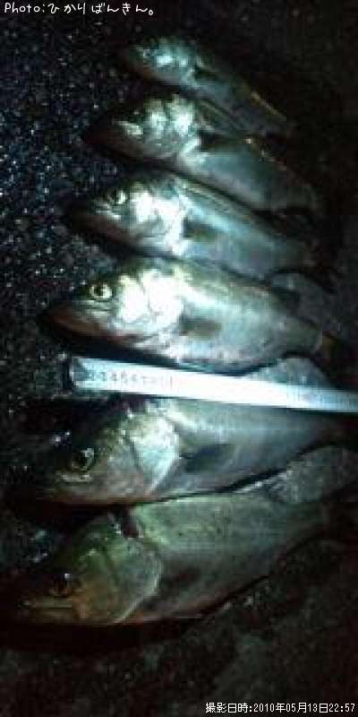 �����Х�